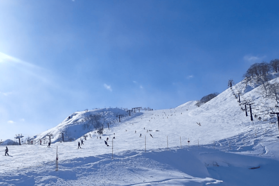 202510311628-8906633199.png 冠军.png