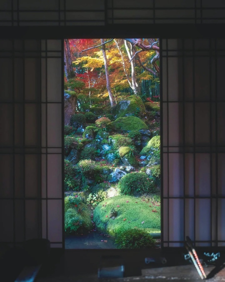 🍁滋贺·教林坊｜苔与红叶之间的秘境_7_旅行自由派_来自小红书网页版.jpg