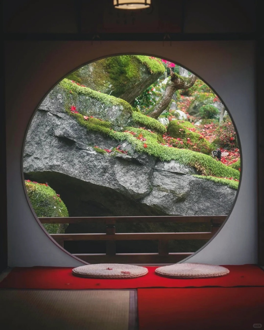 🍁滋贺·教林坊｜苔与红叶之间的秘境_4_旅行自由派_来自小红书网页版.jpg