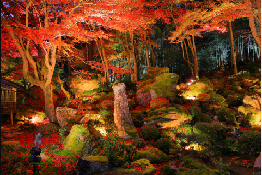 屏幕截图 2025-08-14 154207.png