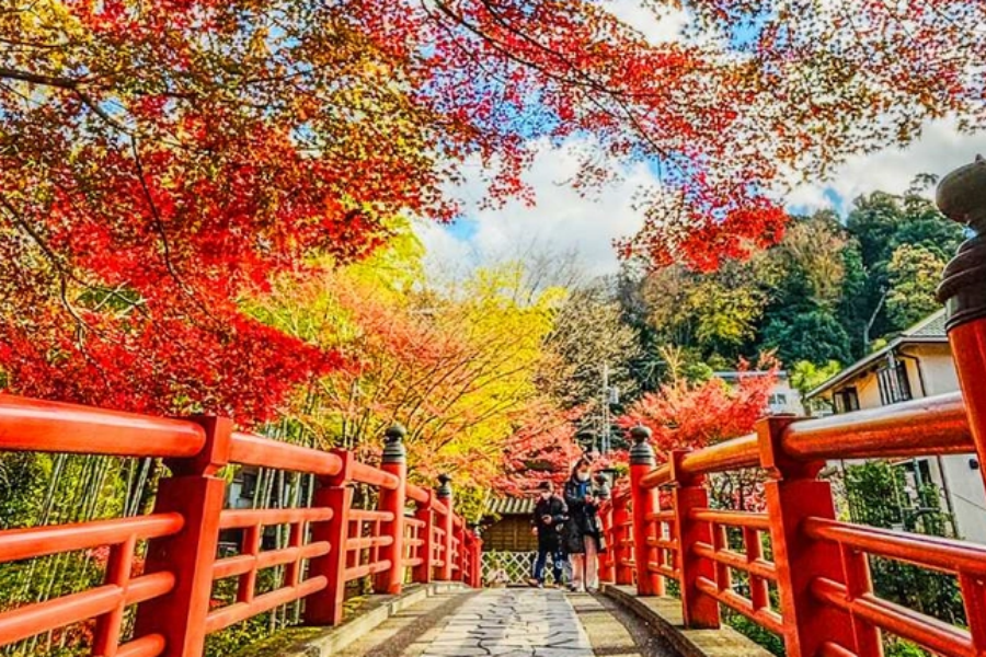 202511031046-9036596178.png 恋人桥.png