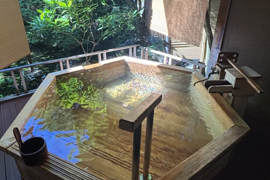 🍃伊豆的夏天_ 去汤回廊菊屋避暑♨️_1_树树树的玩偶_来自小红书网页版.jpg