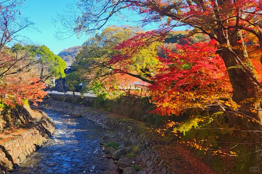 202511031535-2866633068.png 企业微信截图_1755593498411.png