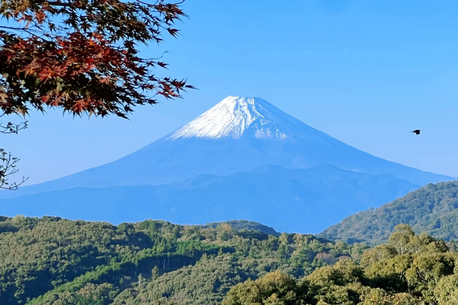 202511031538-4544956117.png 微信图片_2025-11-03_153759_784.png