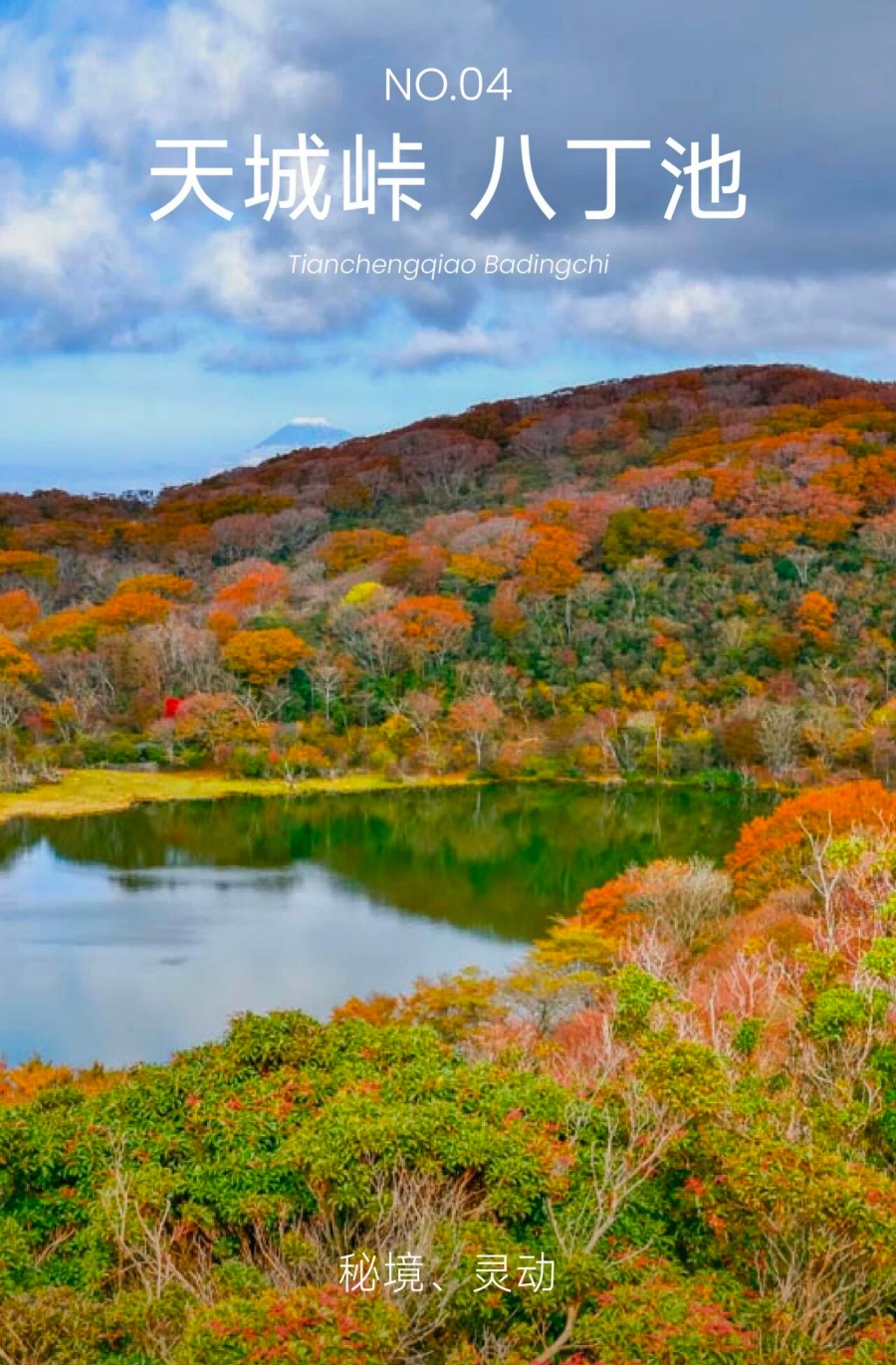 202511031540-8998247326.jpg 微信图片_2025-11-03_150606_613.jpg