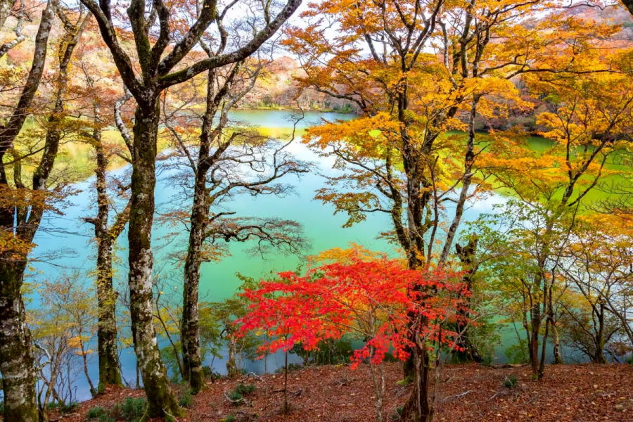 202511031541-9754962435.png 微信图片_2025-11-03_150637_003.png