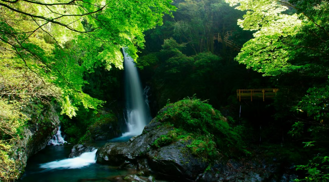 202511031609-7247773425.png 202511031609-7247773425.png