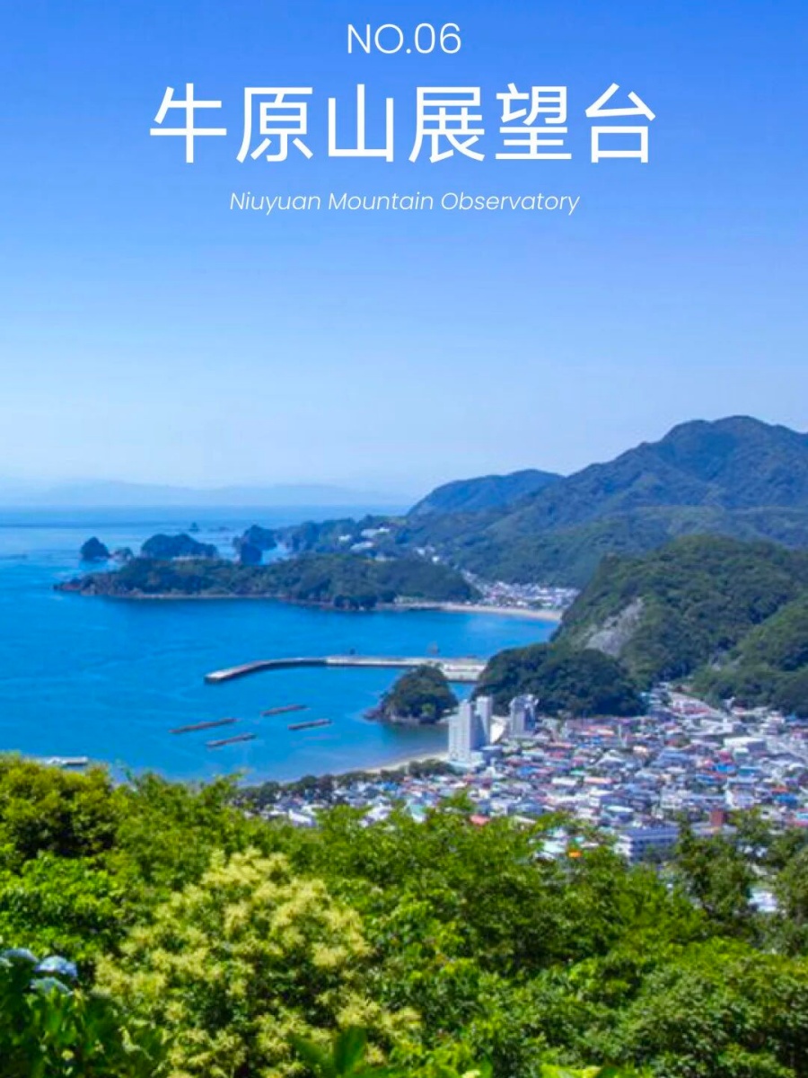 202511031610-2285319154.jpg 微信图片_2025-11-03_155855_847.jpg