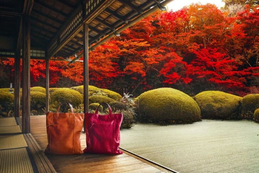 202511040943-1636138440.jpg 2.jpg