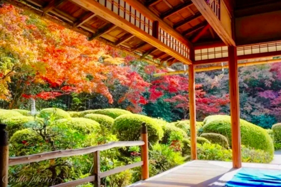 202511040944-8817232715.jpg 3.jpg