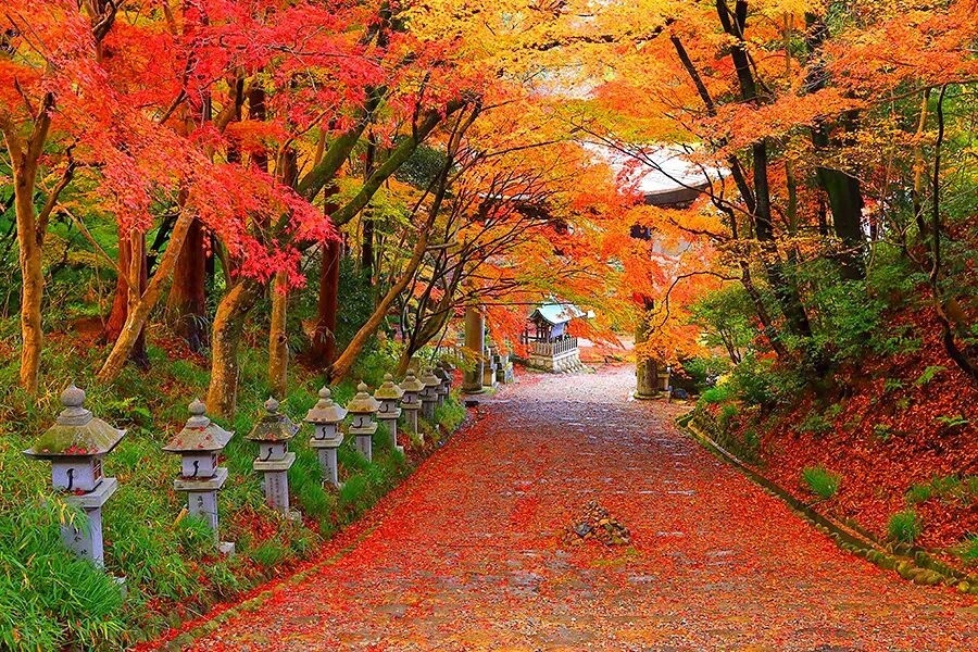 202511040945-2689426626.jpg 7.jpg