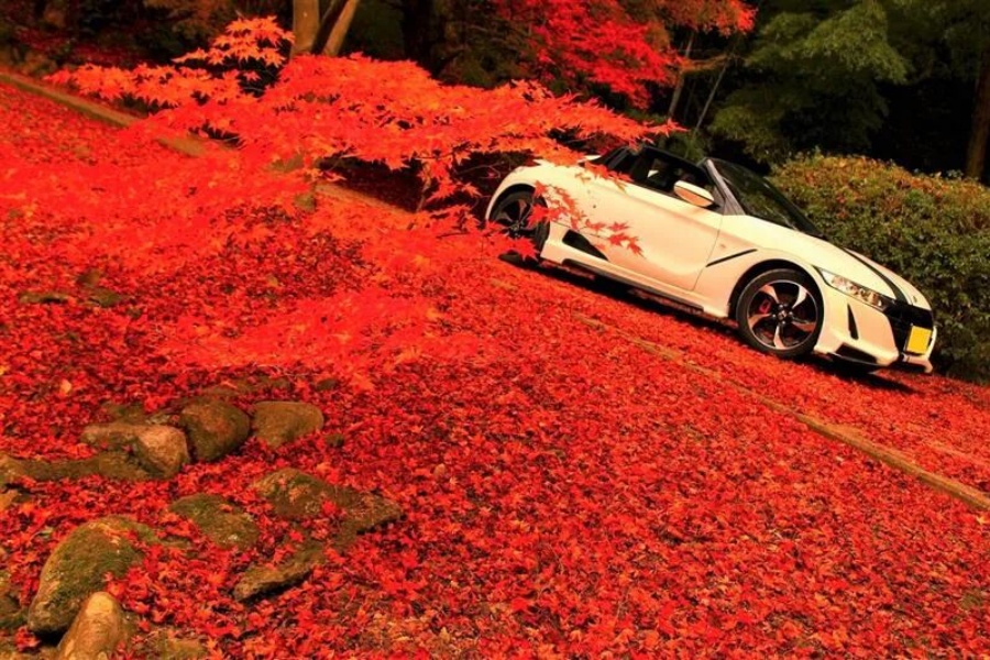 202511040945-5025795650.jpg 6.jpg