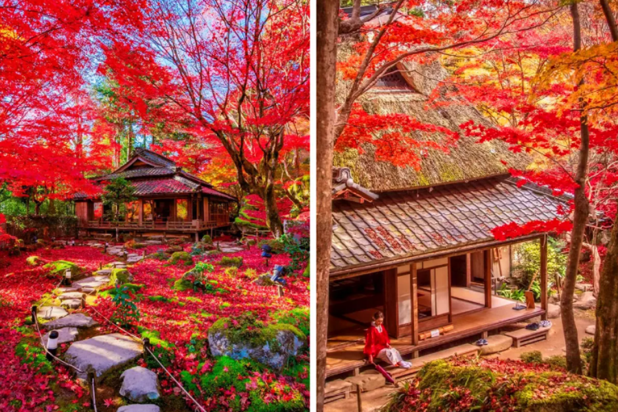 202511040946-1005361513.png 教2.png