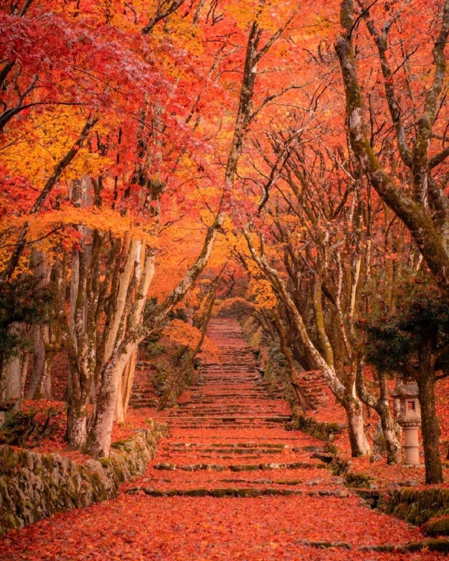 202511041036-8929751050.jpg 微信图片_2025-11-04_102547_178.jpg