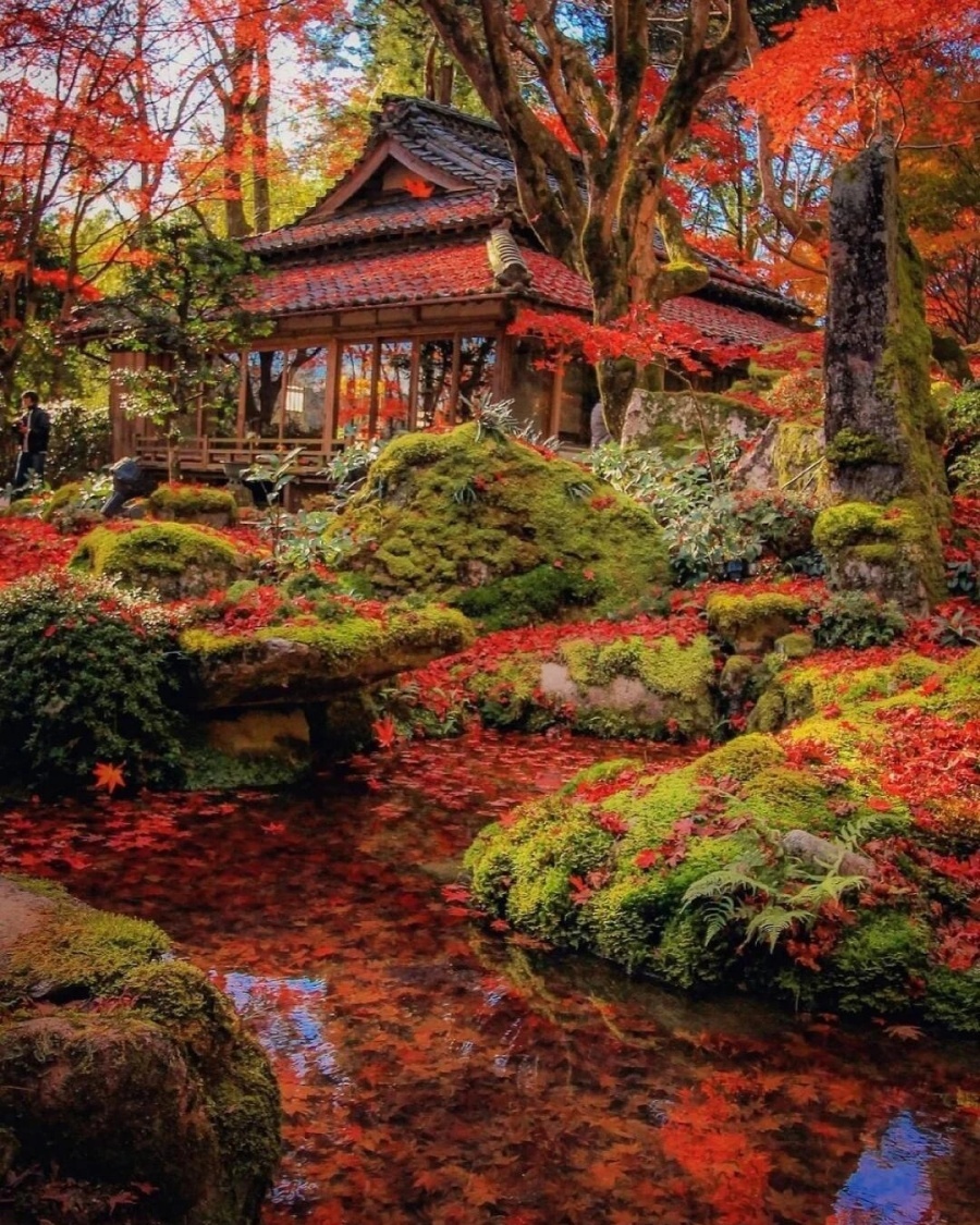 202511041038-7670312862.jpg 微信图片_2025-11-04_102608_524.jpg