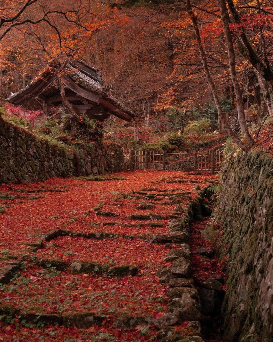 202511041041-8142430958.jpg 微信图片_2025-11-04_102720_413.jpg