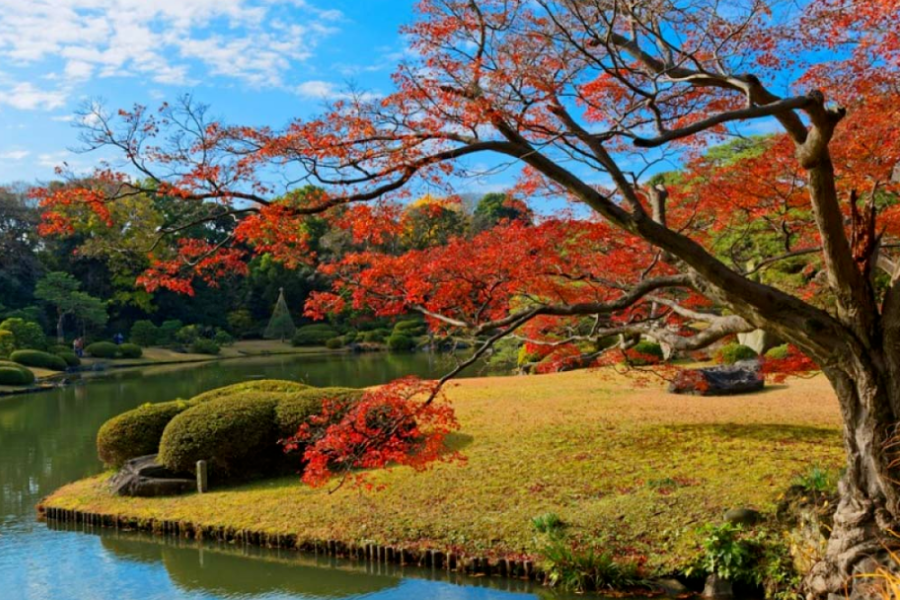 202511041400-1825738131.png 640 (36).png