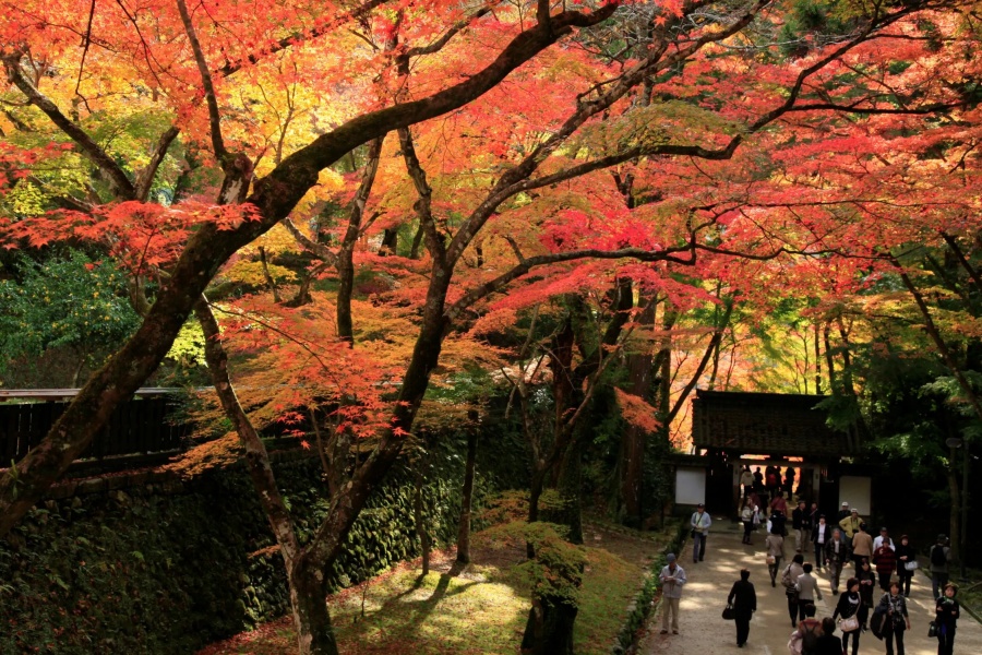 202511041407-2770757249.jpg 1香.jpg