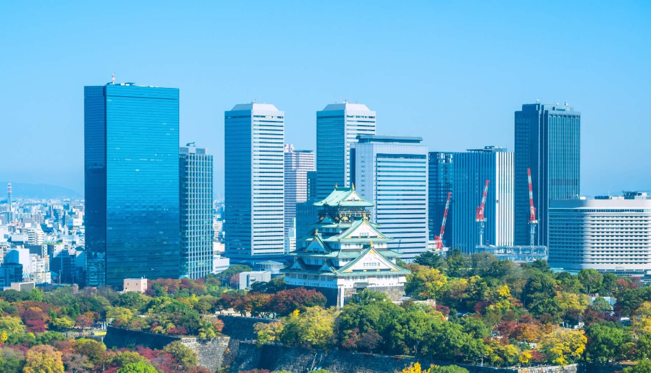 202511041424-2623119822.png image.png