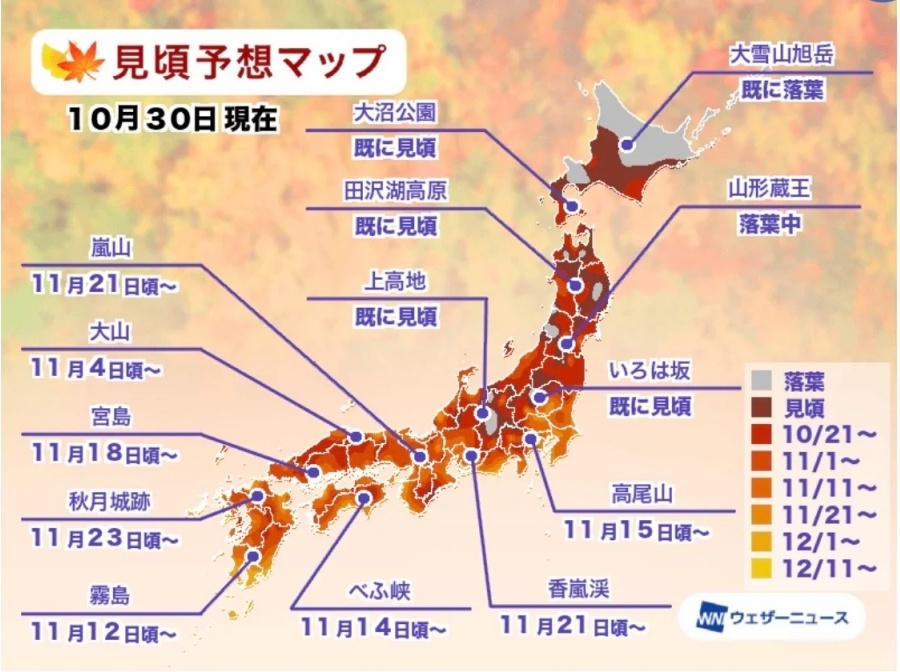 2025日本红叶季赏枫预测（10_30更新）_1_wolftie_来自小红书网页版.jpg