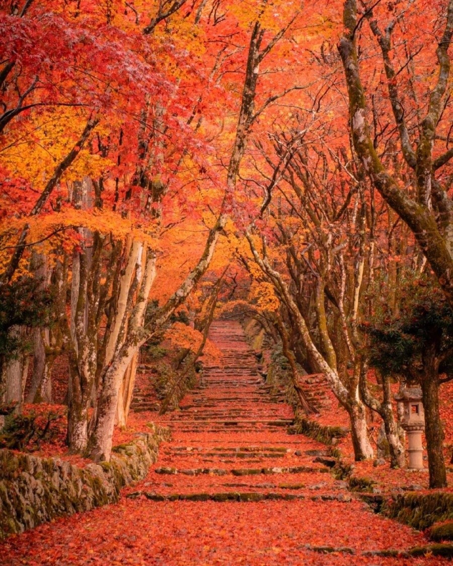 202511041554-6974436446.jpg 微信图片_2025-11-04_102547_178.jpg