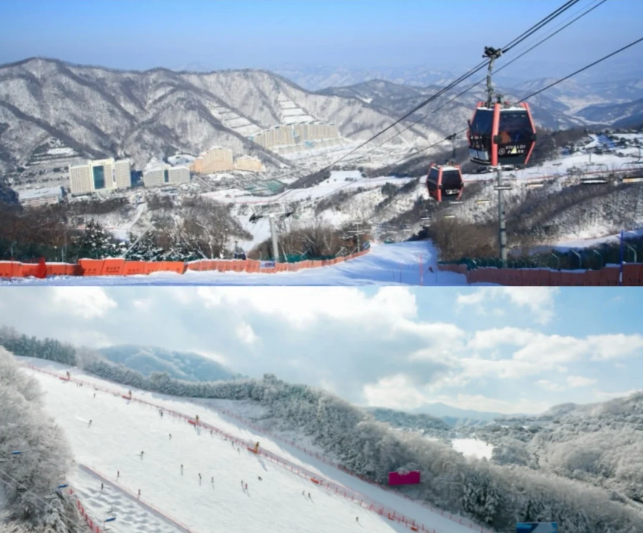 202511050945-7314104497.png image.png