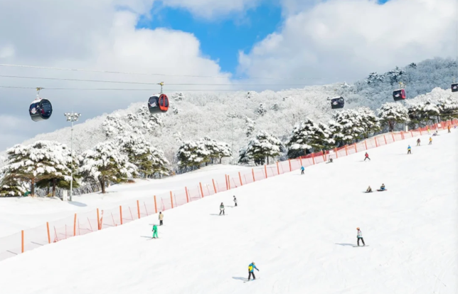 202511050945-9059514939.png image.png