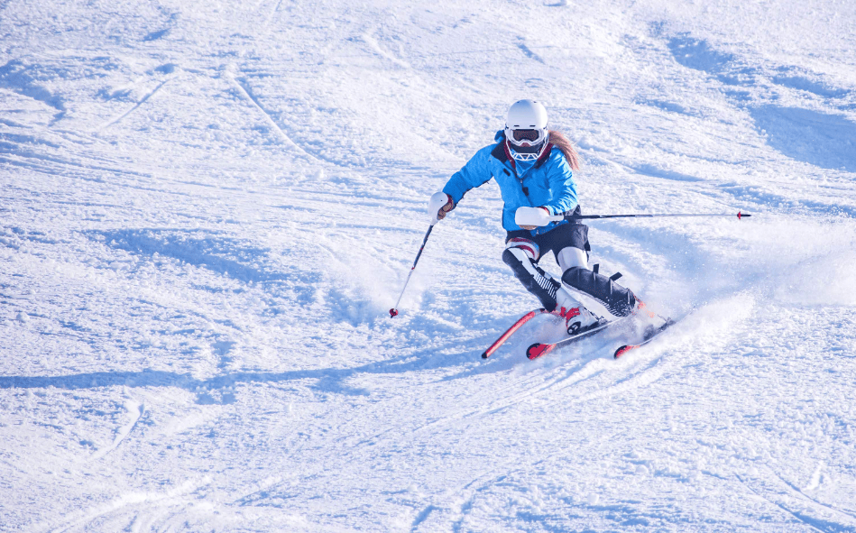 202511050948-4505781757.png 芝山8.png