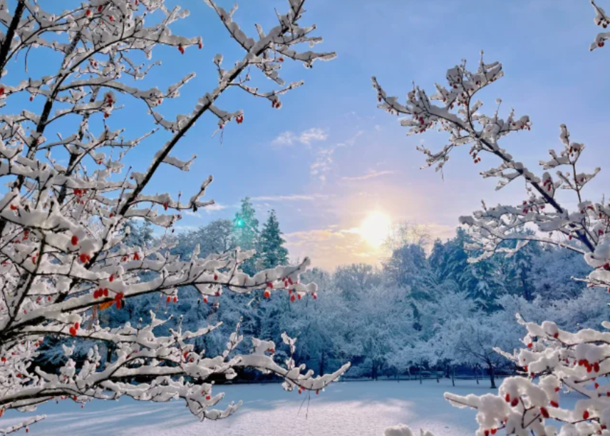 202511050949-2277696143.png image.png