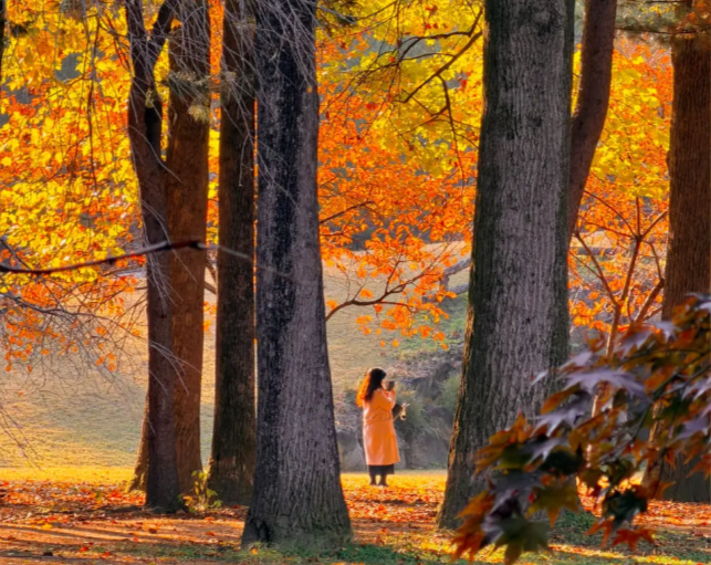 202511050957-1522359602.png image.png