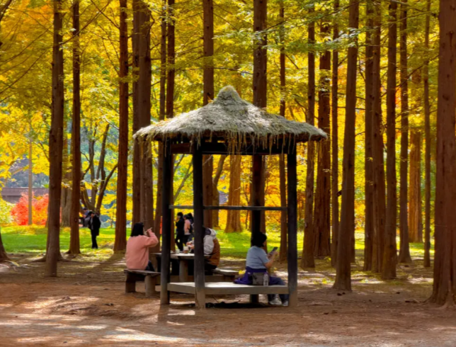 202511050957-6904547642.png image.png