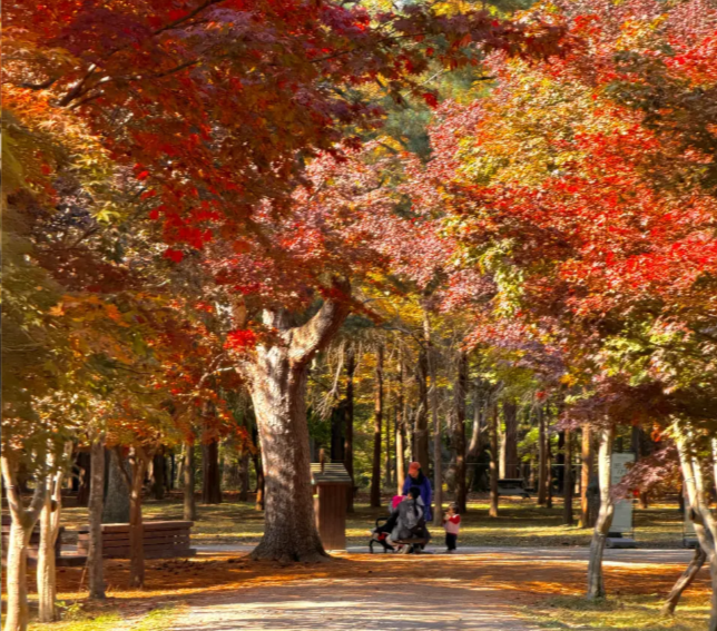 202511050957-7474384232.png image.png