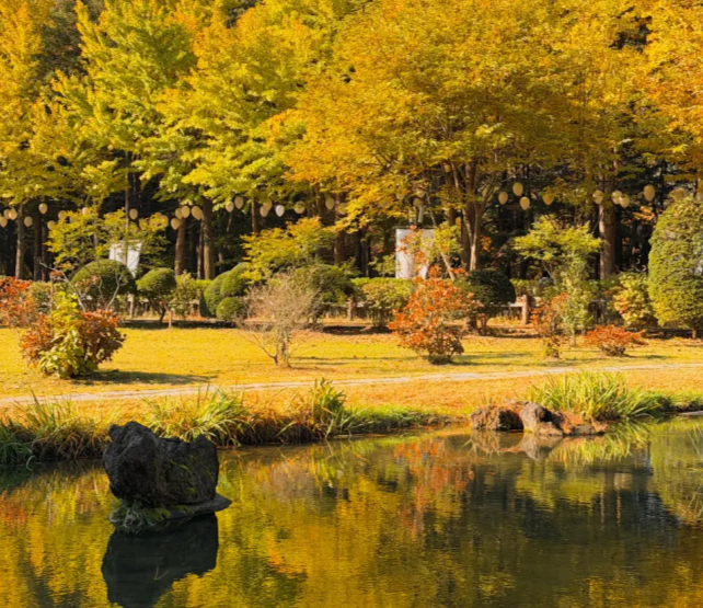 202511050958-2969588984.png image.png