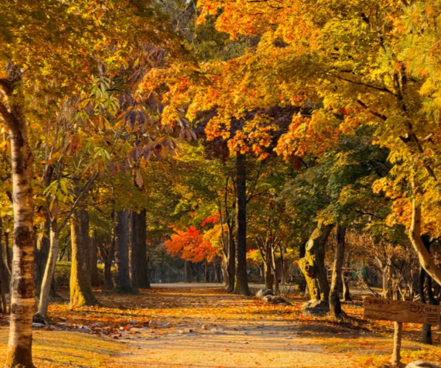 202511050958-5440573677.png image.png