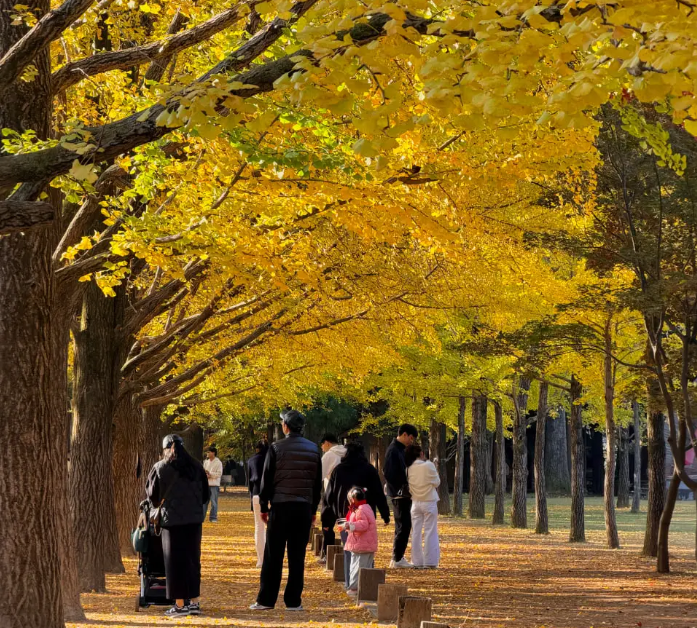 202511051000-5659114886.png image.png