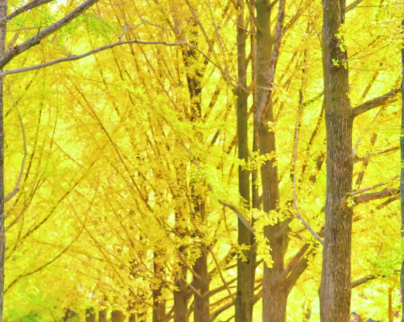 202511051008-6780334424.png image.png