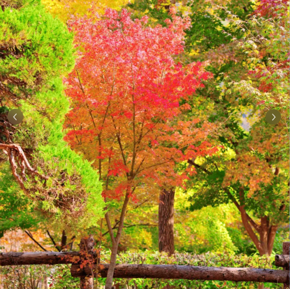 202511051008-9220009390.png image.png