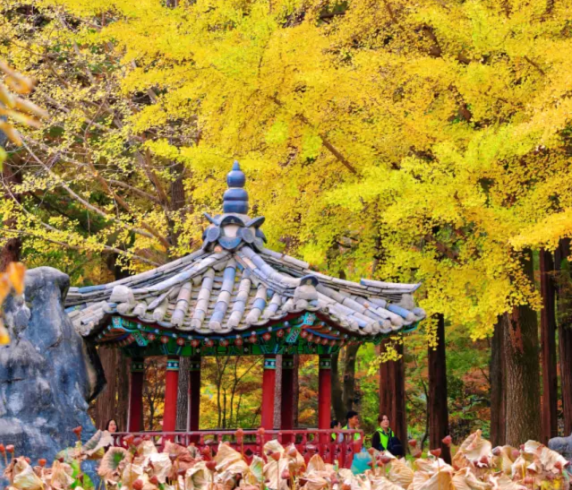 202511051008-9734180274.png image.png