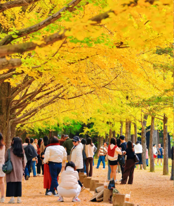 202511051009-9539752052.png image.png