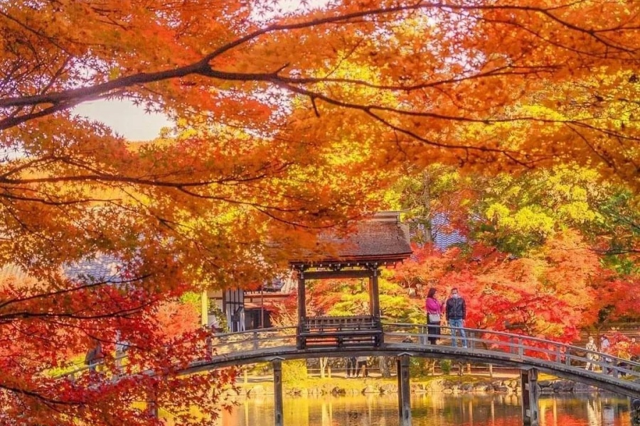 202511051016-2997289154.jpg 虎永 (1).jpg