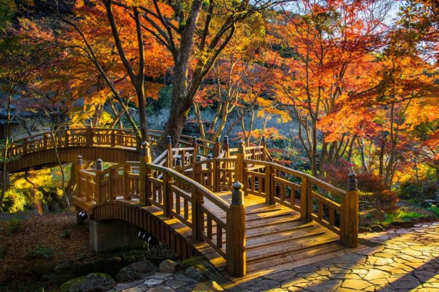 202511051021-7567169067.jpg 768x512ablur.jpg