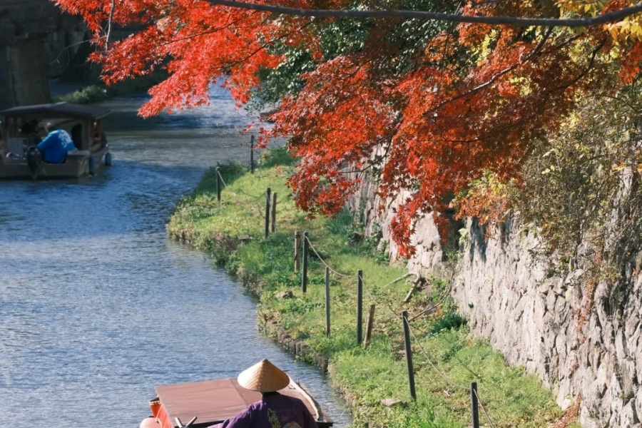 202511051023-2676517719.jpg 近江八幡-彦根赏枫_1_小花菜与鱼儿_来自小红书网页版.jpg