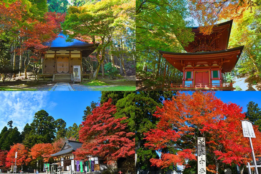 202511051023-6094153144.png 比叡.png