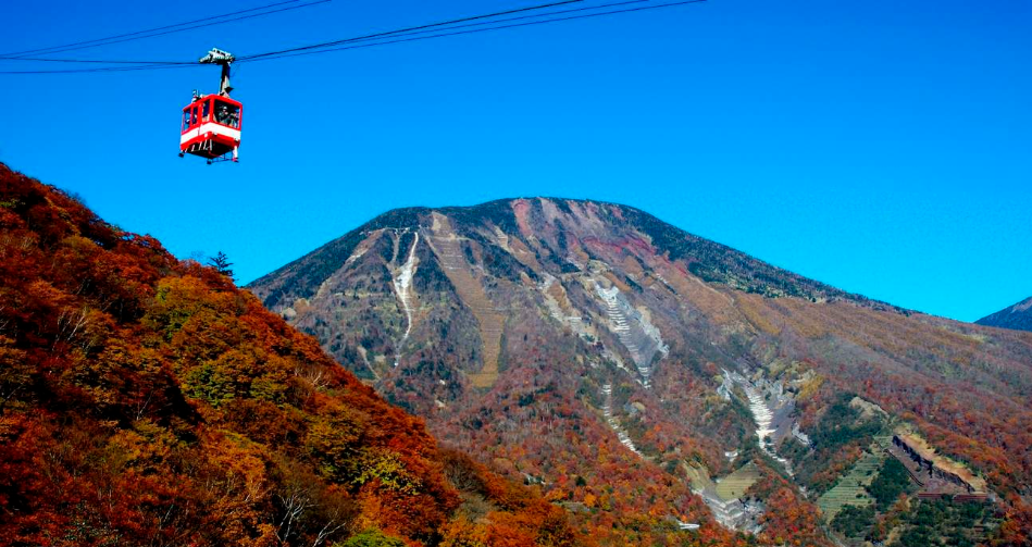 202511051359-8453534322.png image.png