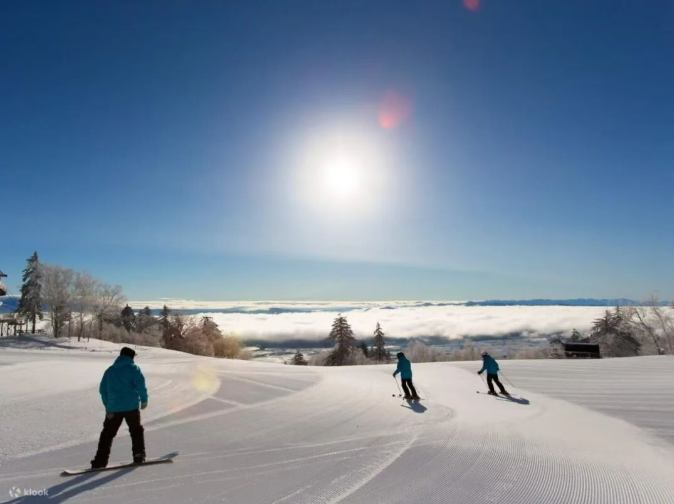 202511060923-4668398512.png image.png