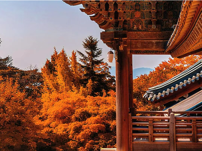 202511060935-1630526066.png image.png