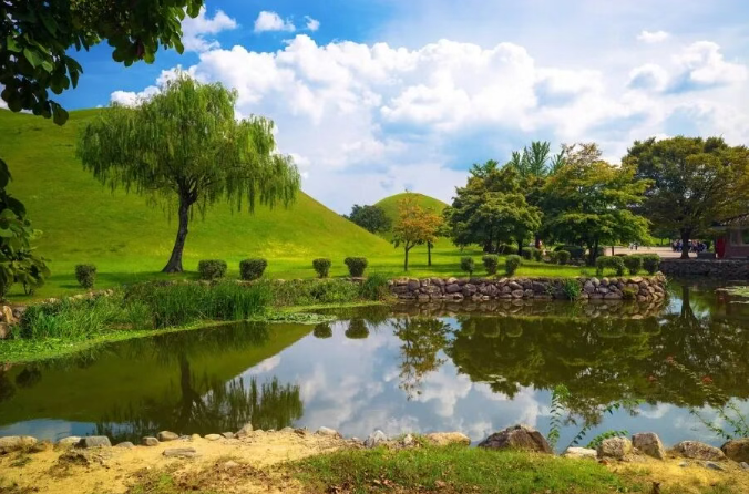 202511060935-7651340063.png image.png