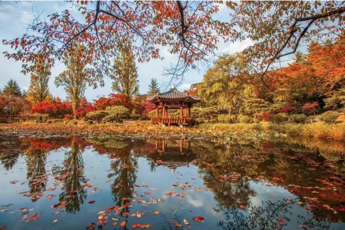 202511060936-5576598183.png image.png