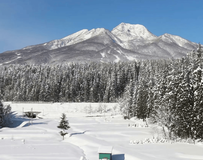 202511060947-7844970746.png image.png