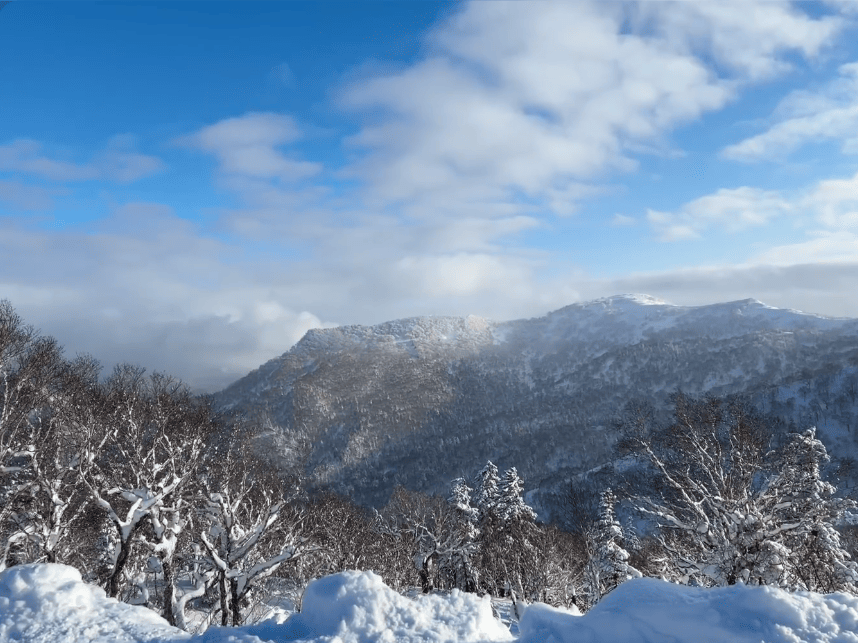 202511061026-1891738300.png image.png